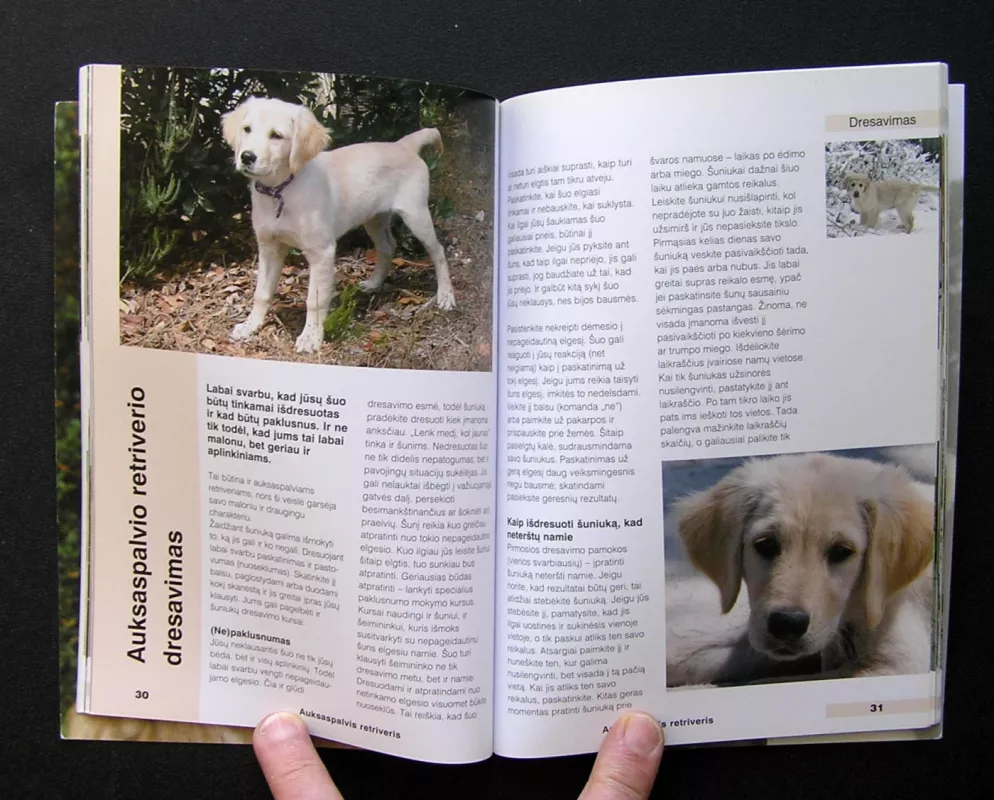 Auksaspalvis retriveris. Žinynas - Autorių kolektyvas, knyga 5