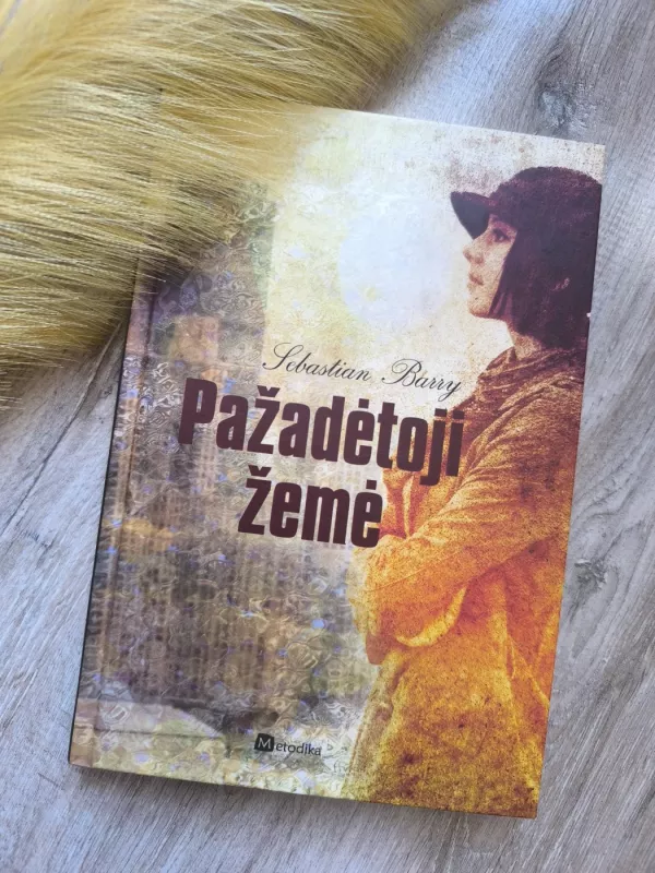 Pažadėtoji žemė - Sebastian Barry, knyga 5