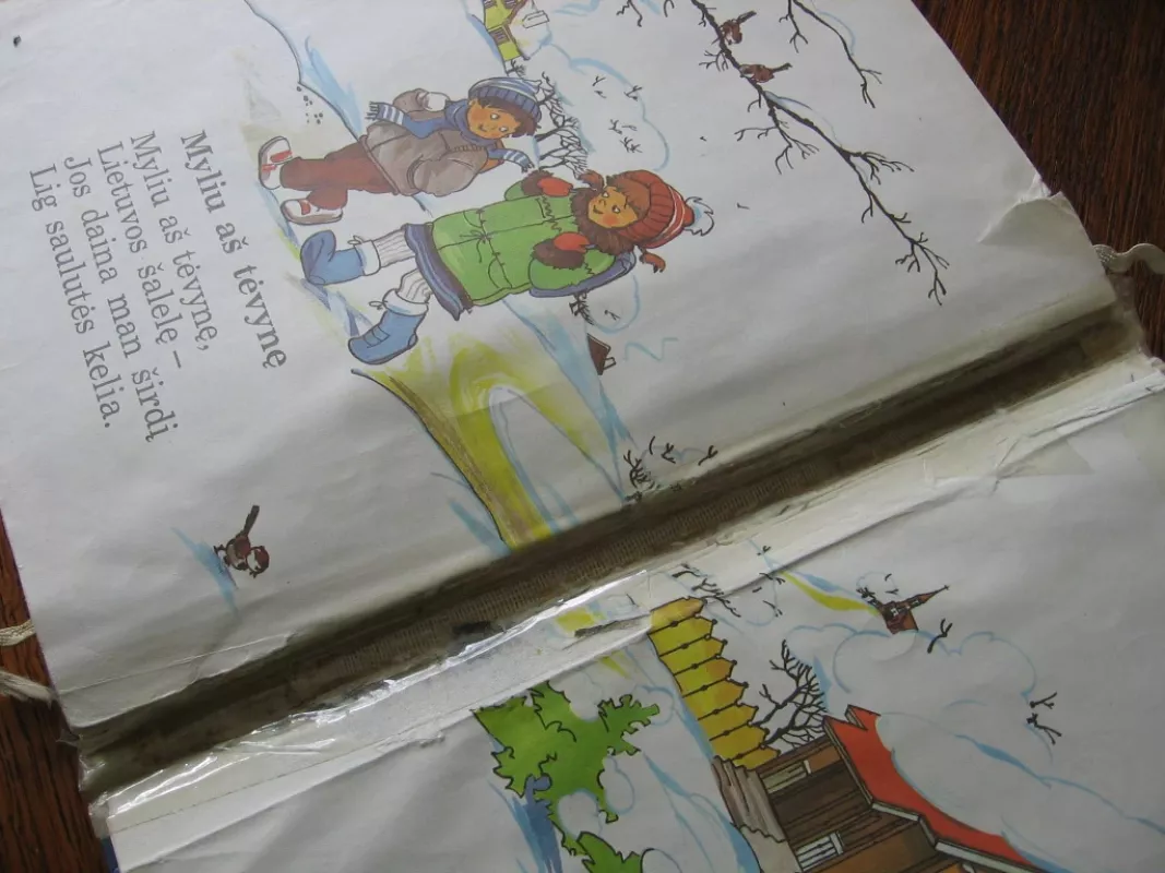 Šaltinėlis - Elena Marcelionienė, knyga 5