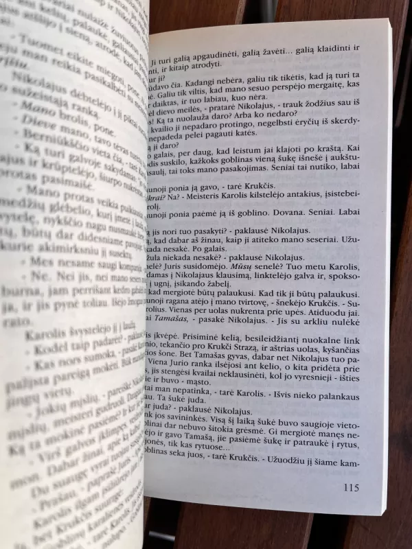 Goblinų veidrodis - C.J. Cherryh, knyga 4