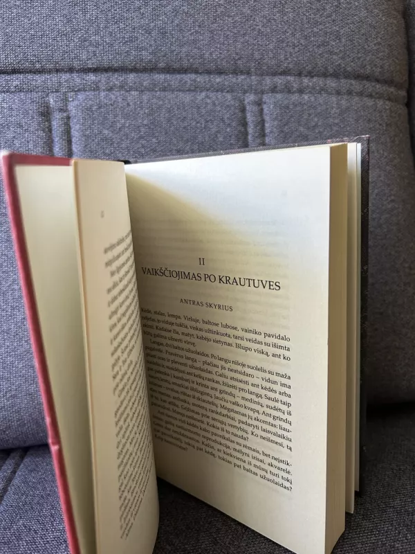 Tarnaitės pasakojimas - Margaret Atwood, knyga 4