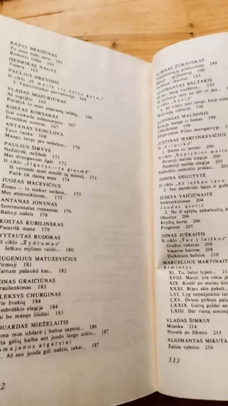 Lietuvių meilės lyrika - Autorių Kolektyvas, knyga 4