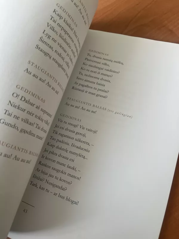 Giesmė apie Gediminą - Balys Sruoga, knyga 5