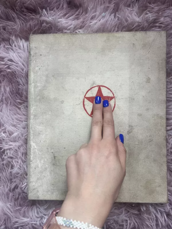 Lietuvos partizanai - P. Štaras, knyga 3