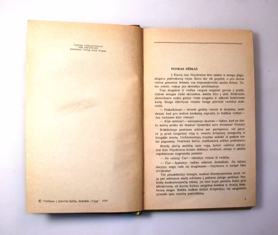 Jaunasis vadas - Lizelotė Velskopf-Henrich, knyga 6