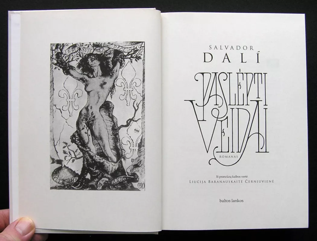 Paslėpti veidai - Salvadoras Dali, knyga 3