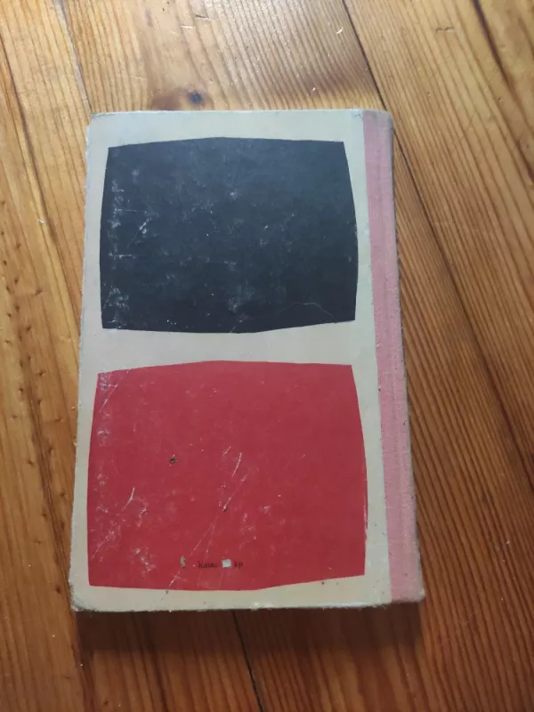 Balti debesys - Aleksandras Sizonenka, knyga 4