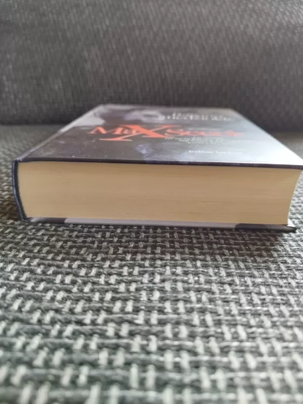 Raganų medžioklė - Max Seeck, knyga 5