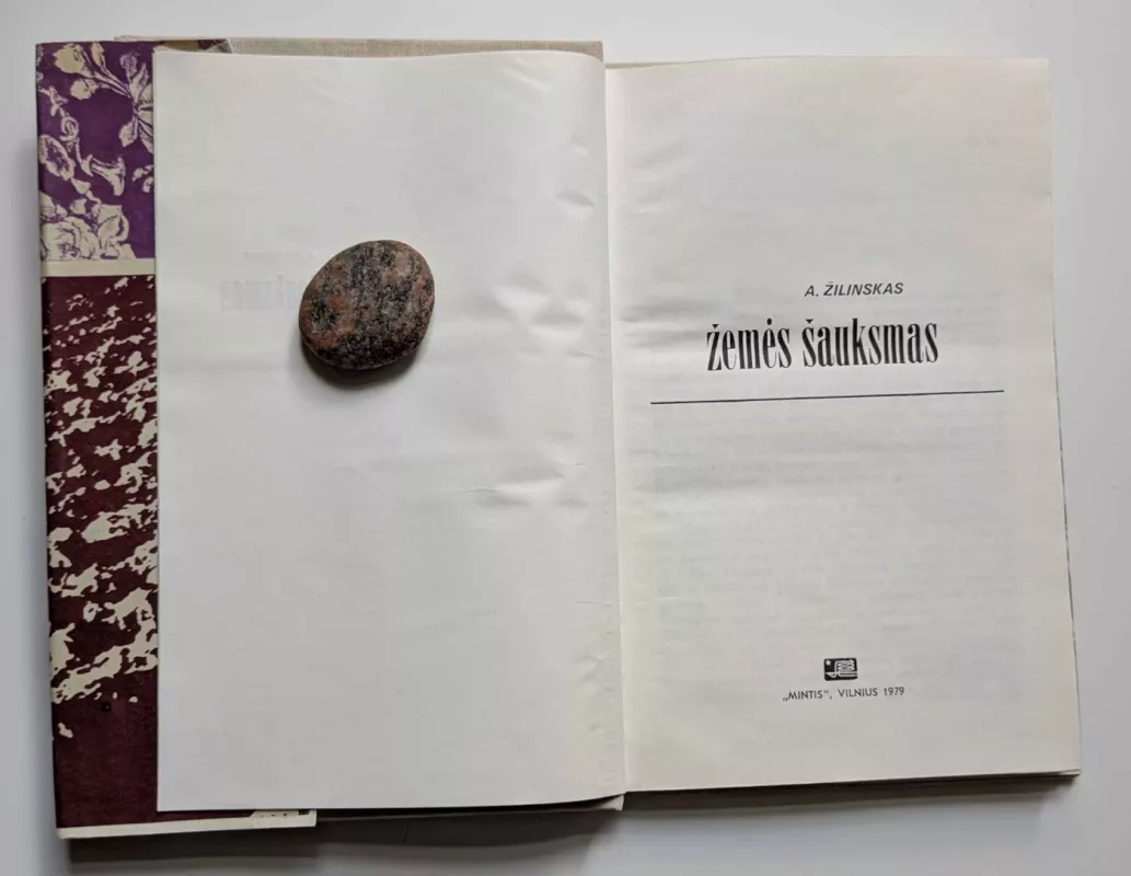 Žemės šauksmas - Algimantas Žilinskas, knyga 4