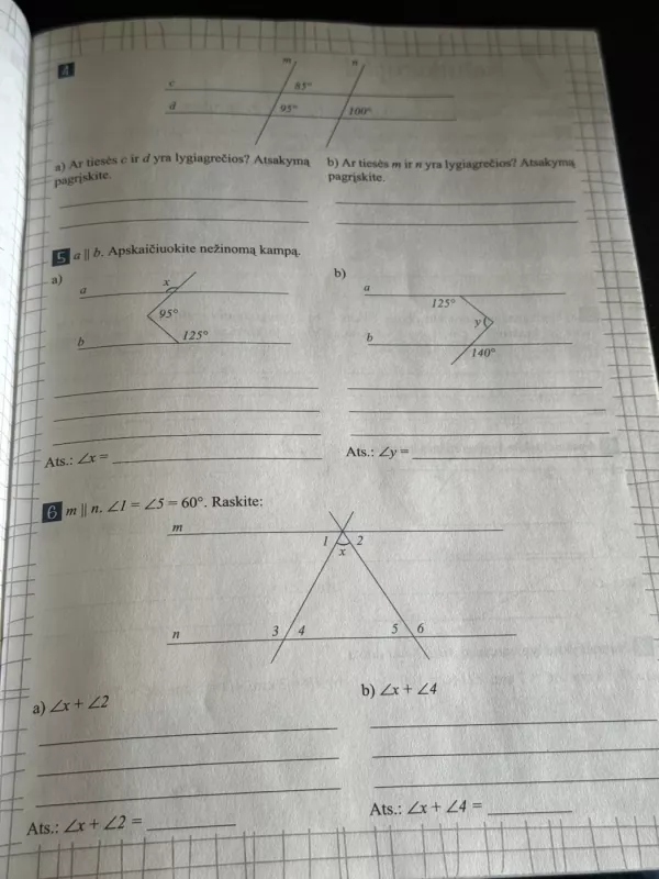 Matematika 7 klasei. Pratybų ir testų sąsiuvinis (II dalis) - Nijolė Cibulskaitė, Vida Žilevičienė, knyga 4