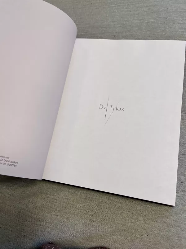 Ką kanda šalna? - Ieva Šidlaitė, knyga 4