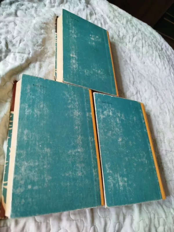 Grafas Montekristas 1-2-3 tomai - Aleksandras Diuma, knyga 6