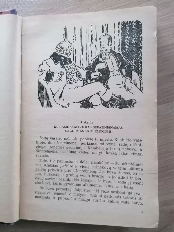 Dėdės Tomo trobelė - H. Bičer-Stou, knyga 4