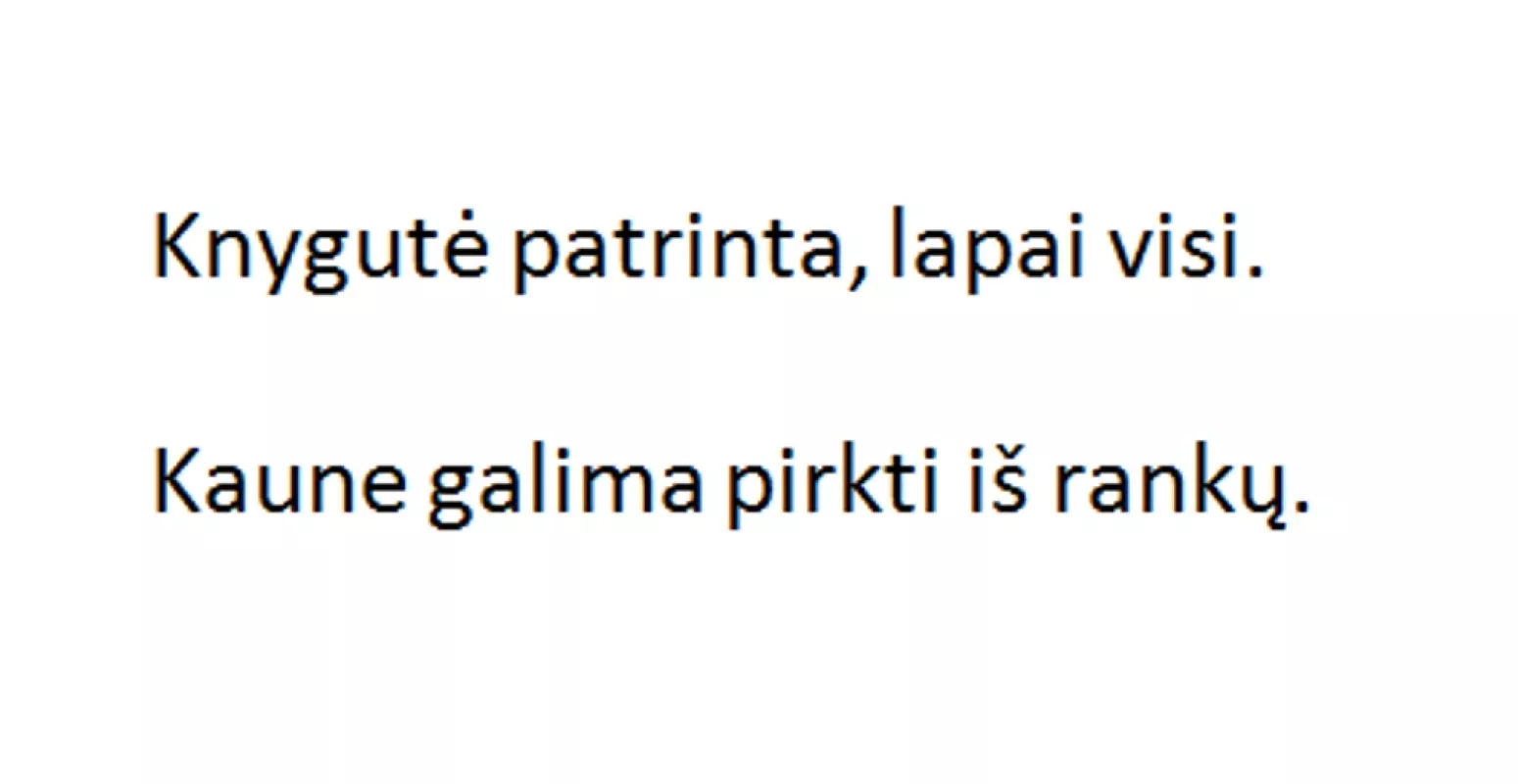 Nykštukai atostogauja - Stasė Samulevičienė, knyga 3