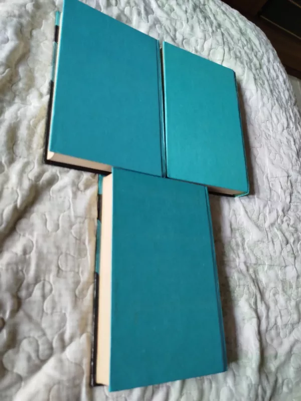 Grafas Montekristas (3 dalys) - Aleksandras Diuma, knyga 6