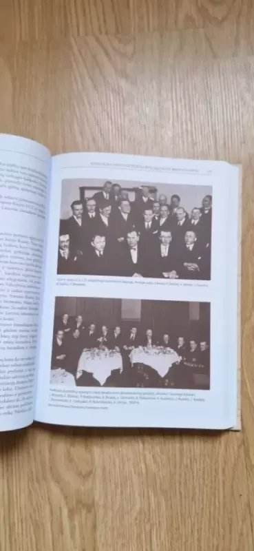 Žurnalistikos lankose. Gairės. Datos. Veidai - Domas Šniukas, knyga 4