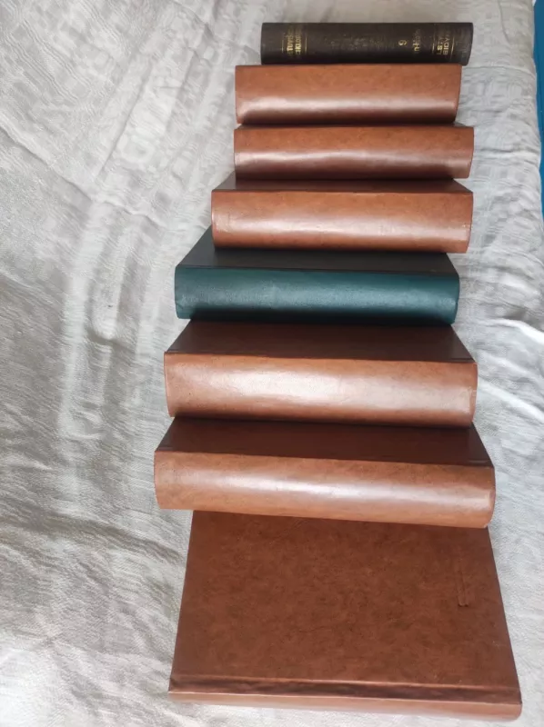 Lietuviškoji enciklopedija ( I tomas) - Vaclovas Biržiška, knyga 2