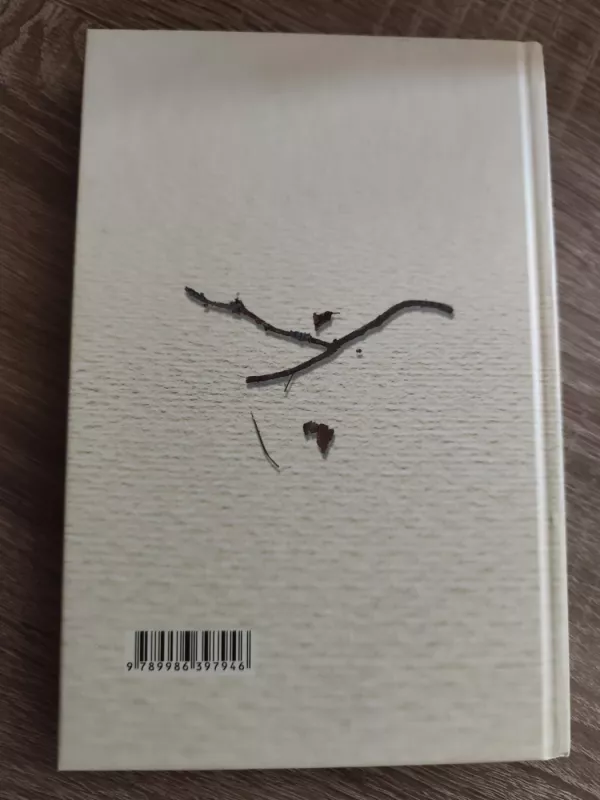 Trečias gyvenimas - Granauskas Romualdas, knyga 5