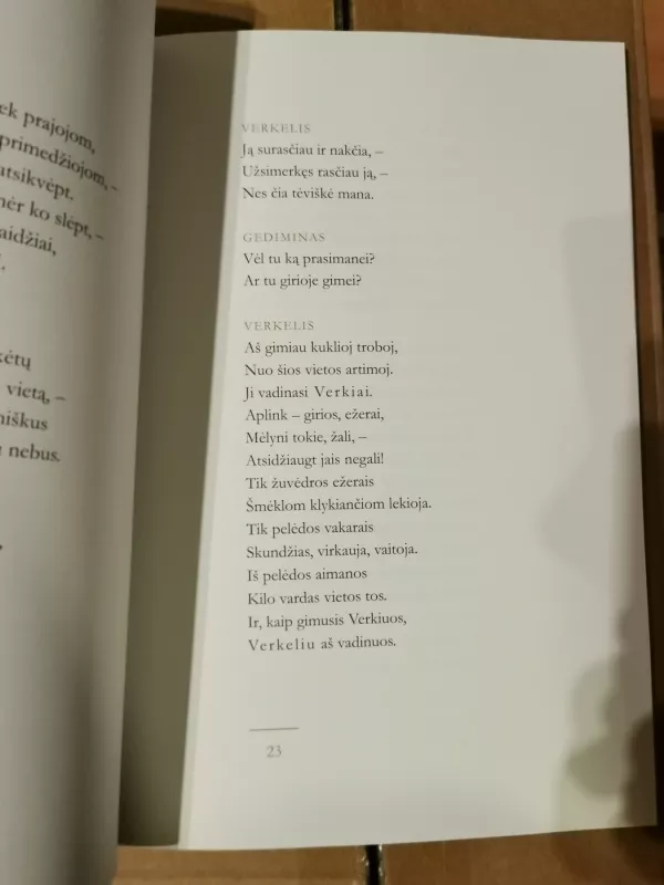 Giesmė apie Gediminą - Balys Sruoga, knyga 5