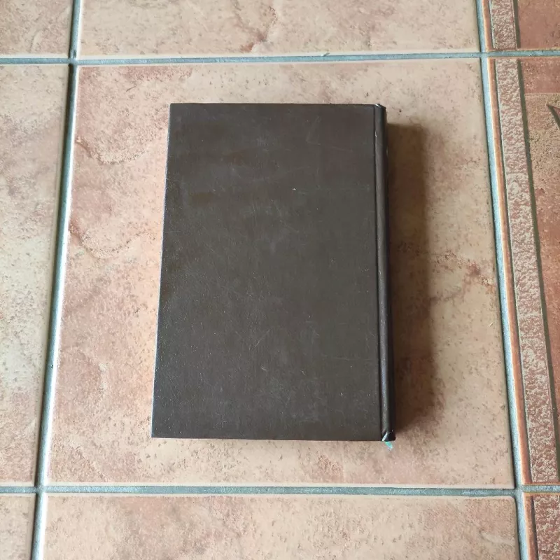 Quo vadis - Henrikas Senkevičius, knyga 5