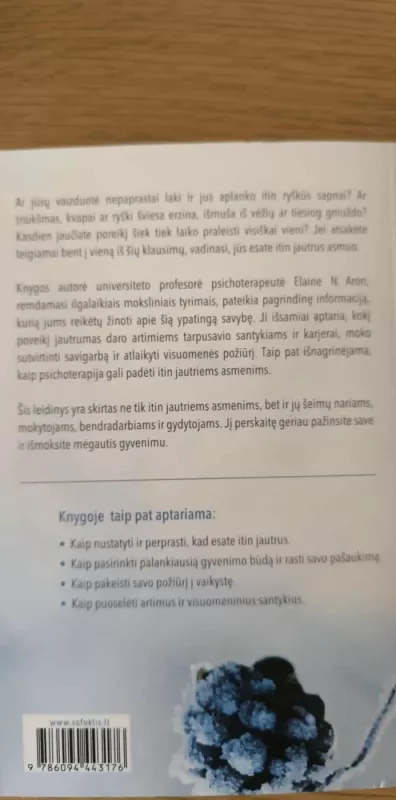 ITIN JAUTRUS ASMUO - Elaine N. Aron, knyga 3