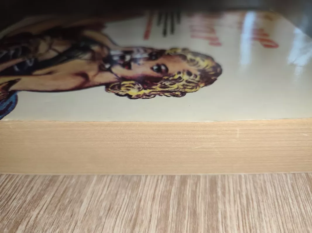 Jane at war: The original and unexpurgated adventures of the British secret weapon of World War Two, Jane of the Daily Mirror - Norman Pett, knyga 3