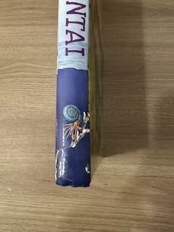 Priešistorinių laikų Gigantai - Poppelmann Christa, knyga 4