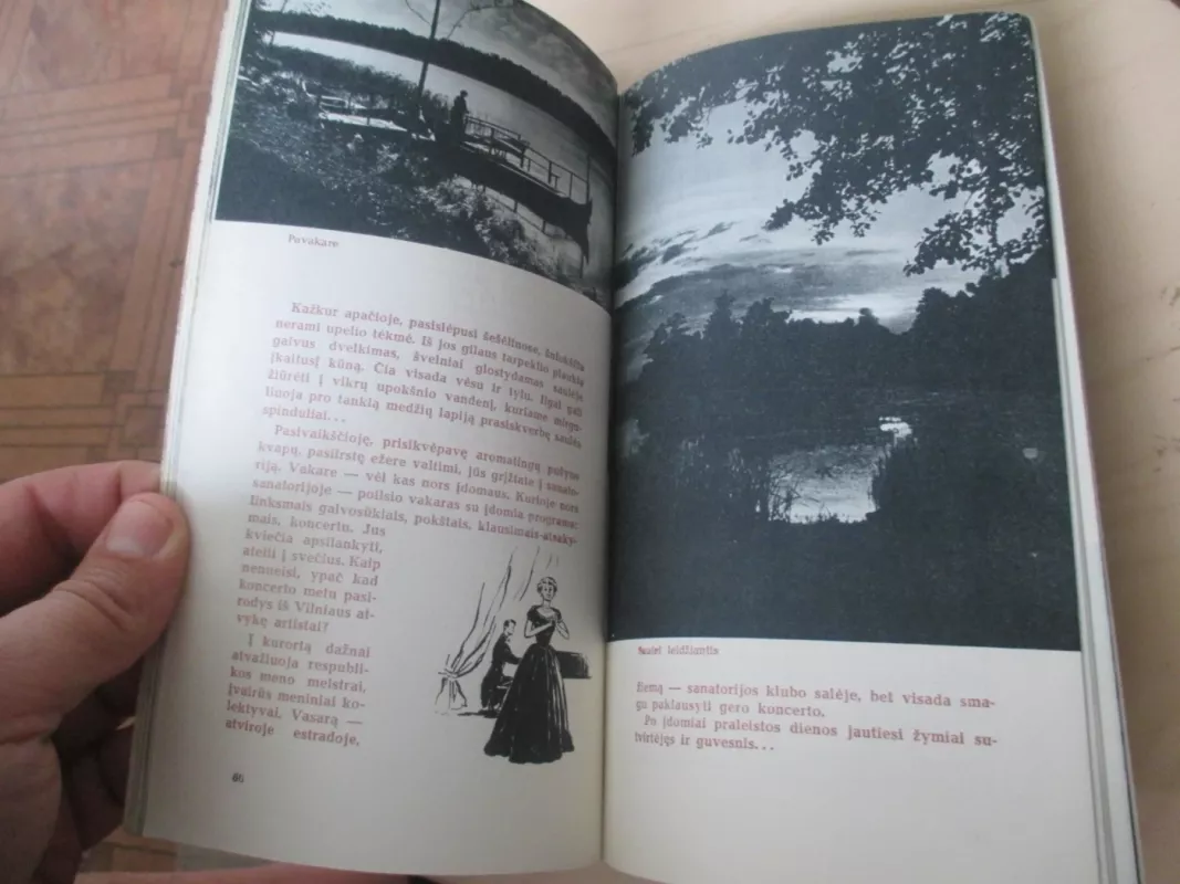 Druskininkai - Medonis Ar. Jušėnaitė J., knyga 4