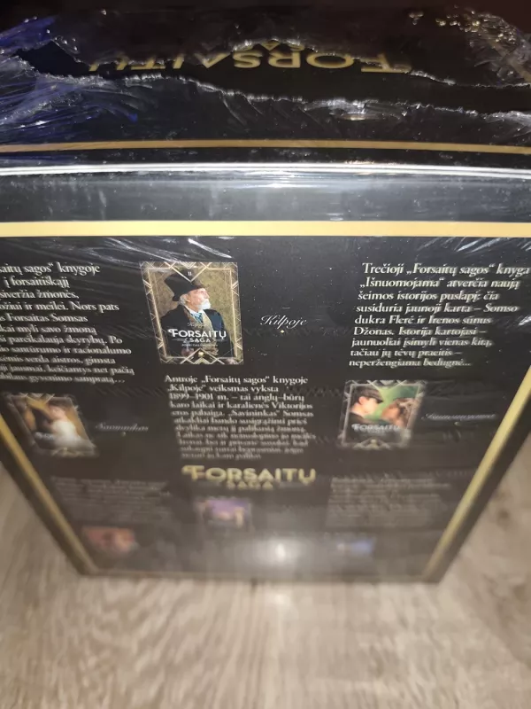 Forsaitų saga (6 knygos kolekcinėje dėžutėje) - John Galsworthy, knyga 3