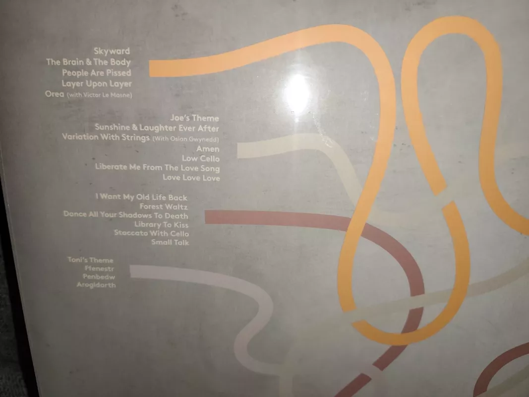 Gruff Rhys - The Almond & The Seahorse (Original Soundtrack) - Gruff Rhys, plokštelė 3