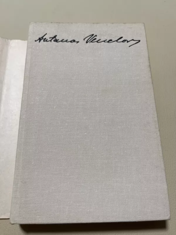 Susitikimas - Antanas Venclova, knyga 2