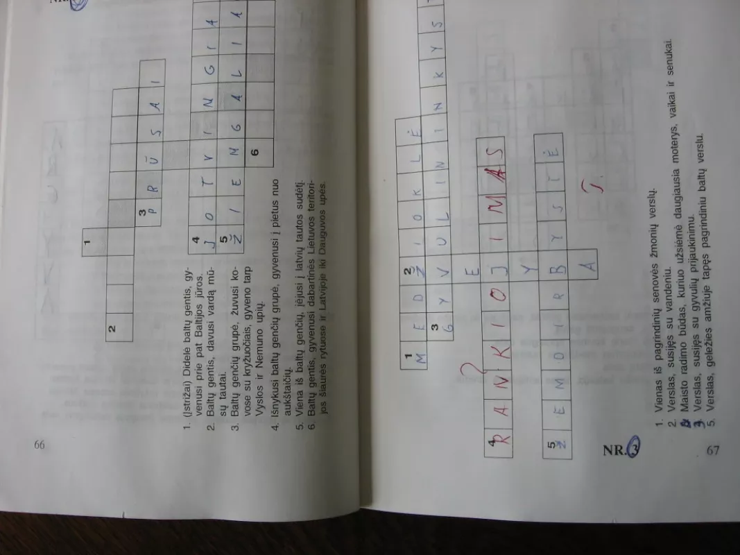 Lietuvos istorijos užduotys V klasei - Viktoras Jakimavičius, knyga 5