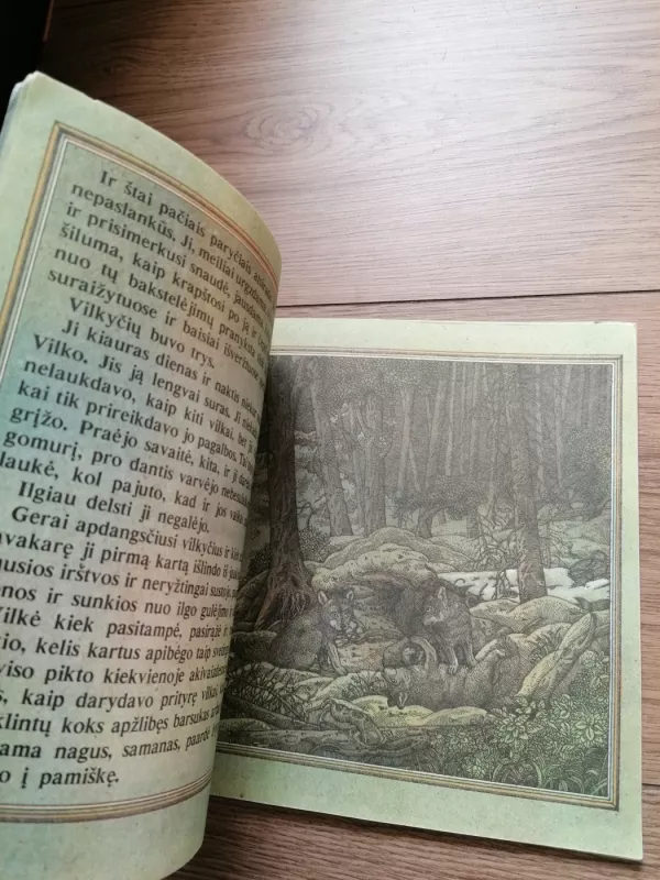 Tik trys vilkiukai - Vytautas Petkevičius, knyga 5