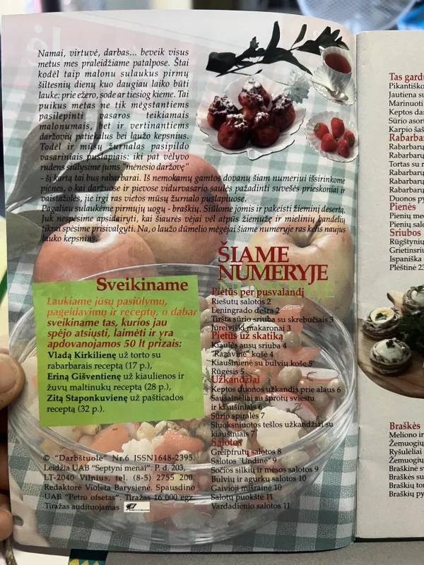 Darbštuolė 2003/6 - Redaktorė Violeta Barysienė, knyga 3