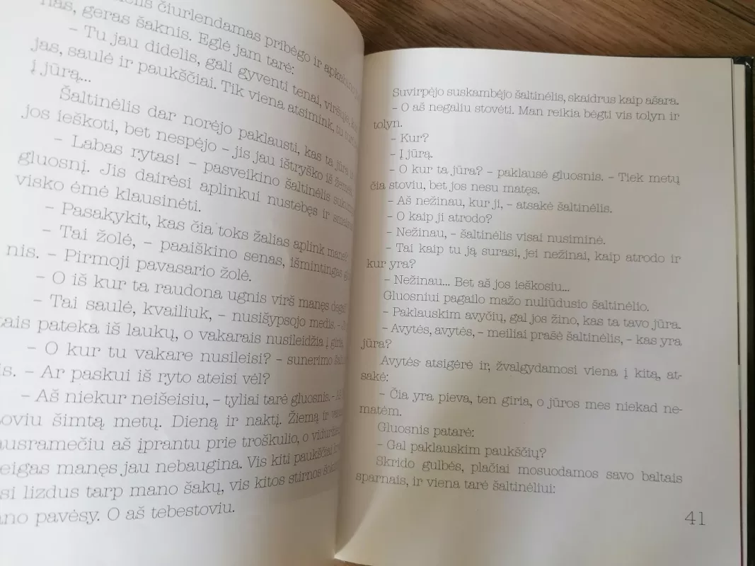 Pelėdžiuko sapnas - Janina Degutytė, knyga 5