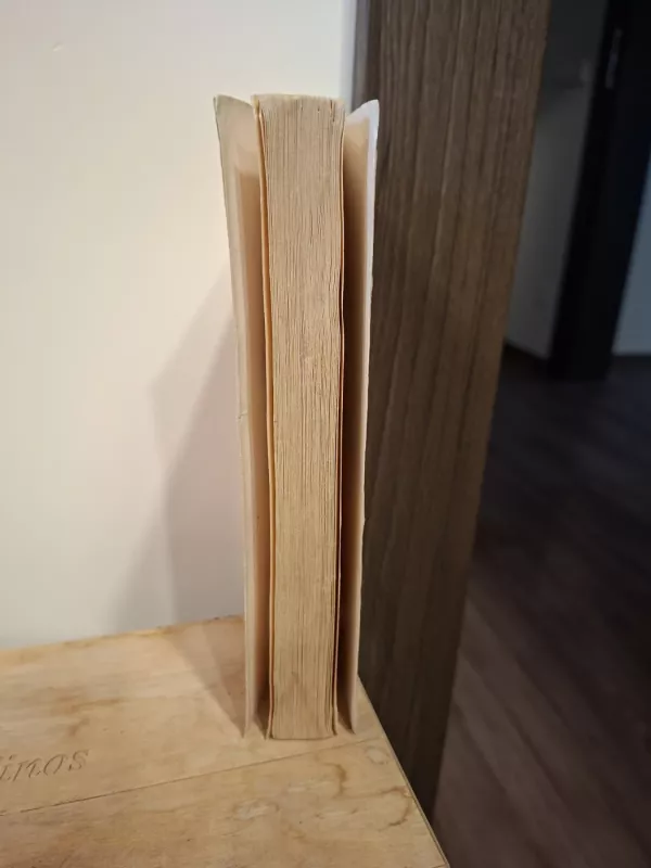 Pamirštas gimtadienis - Donald Bisset, knyga 6