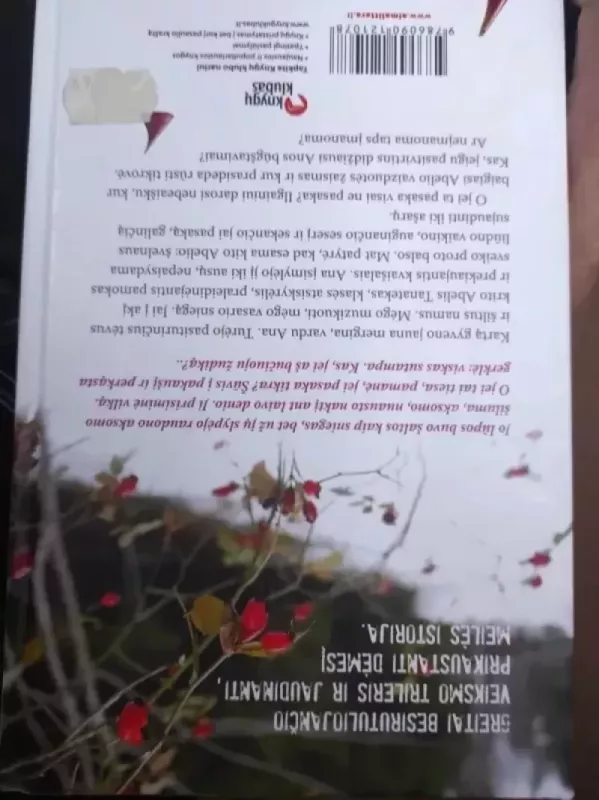 Pasakininko istorija: Kai meilė peržengia ribas - Antonia Michaelis, knyga 3