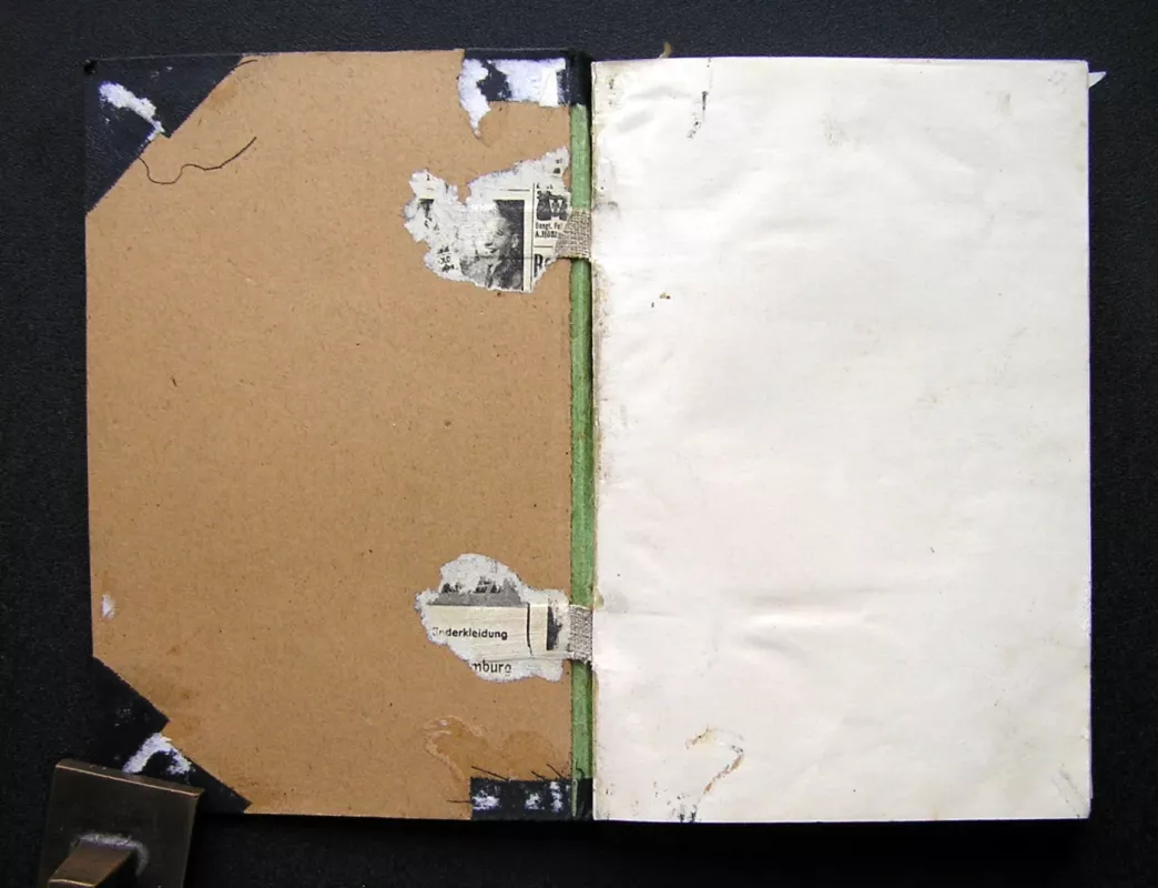 Kelionės po šiaures - A. Vireliūnas, knyga 6