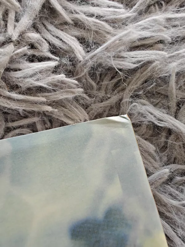 Kritine grandine - Eliyahu M. Goldratt, knyga 3