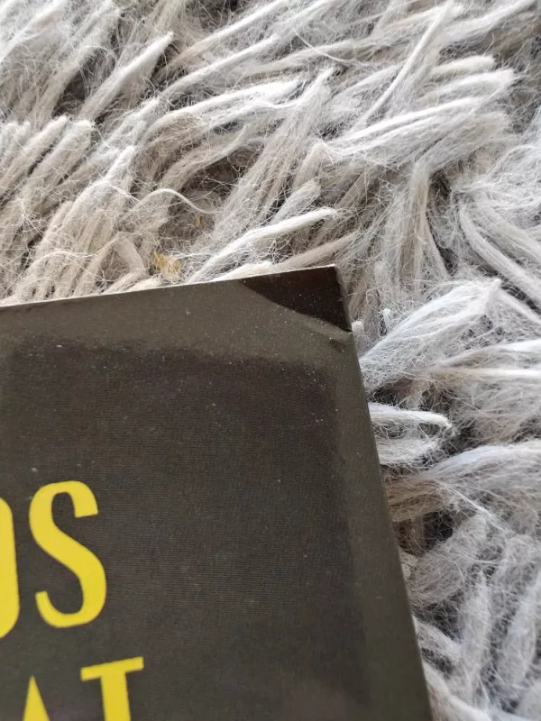 Ekonomikos gangsteriai - Raymond Fisman, knyga 4