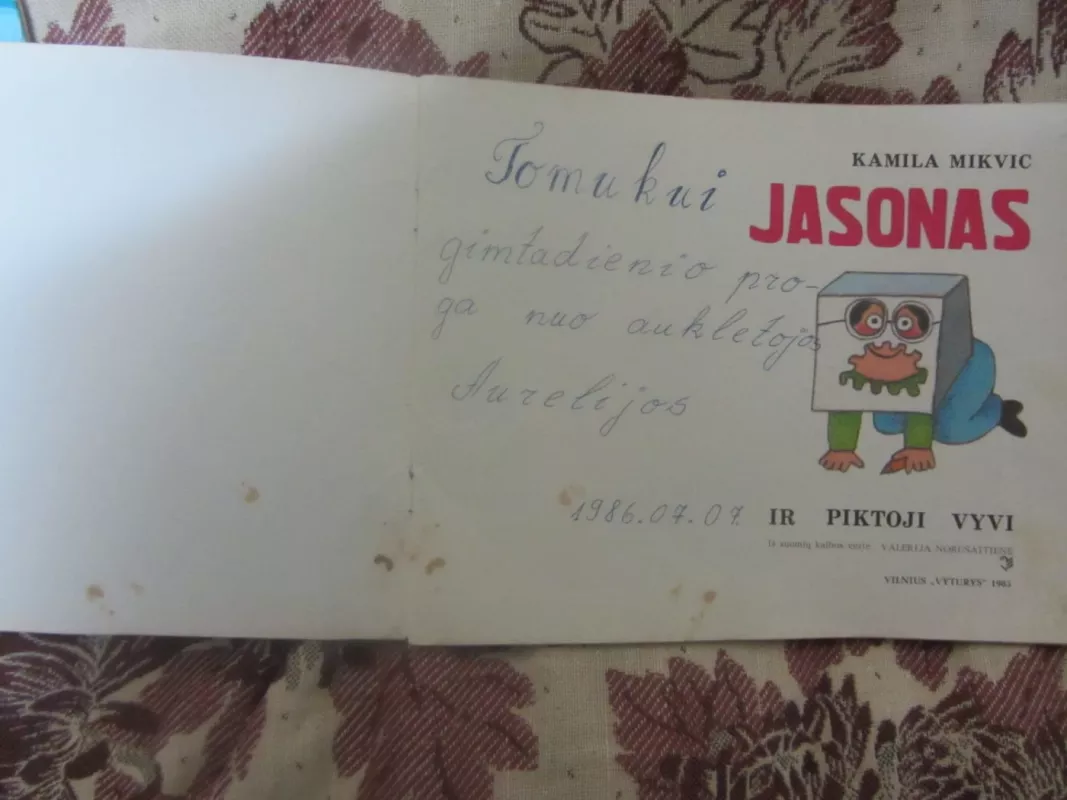 Jasonas ir piktoji Vyvi - Kamila Mikvic, knyga 3