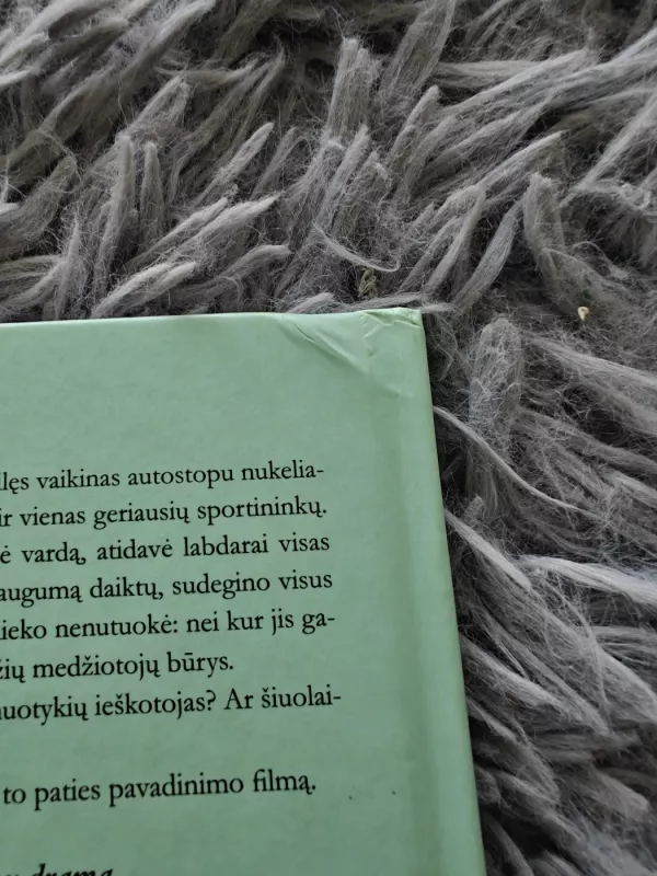 Į laukinį pasaulį - Jon Krakauer, knyga 4