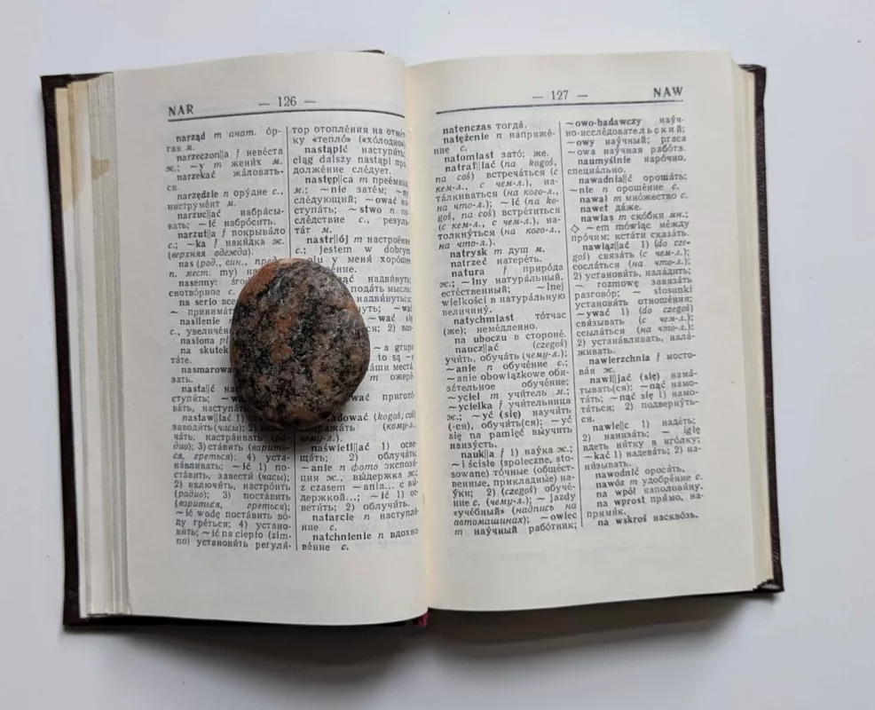 Slownik Polsko - Rosyjski 1966 - I.Mitrinowa, knyga 4