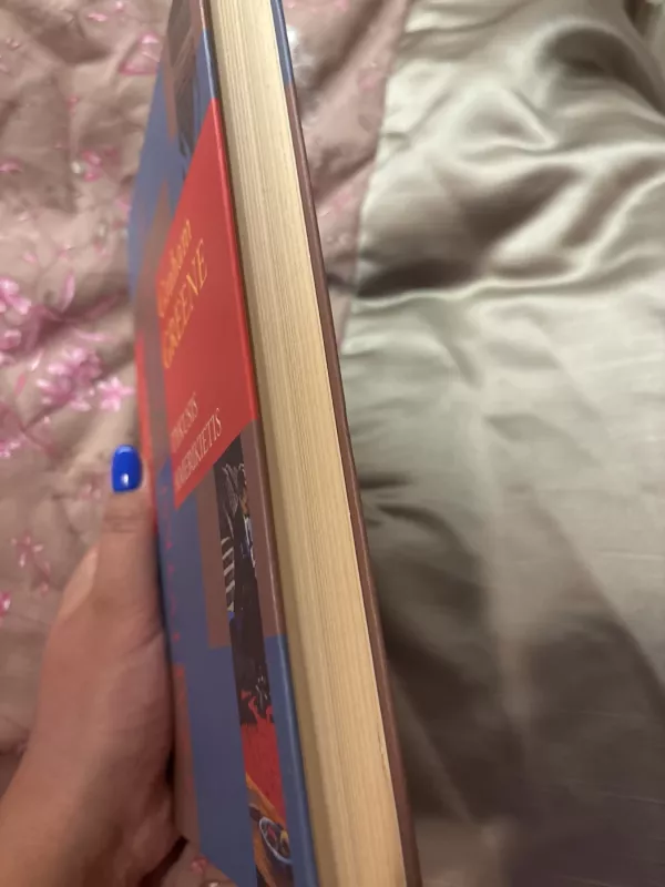 Tykusis amerikietis - Graham Greene, knyga 2