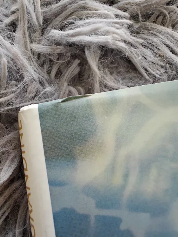 Kritine grandine - Eliyahu M. Goldratt, knyga 4