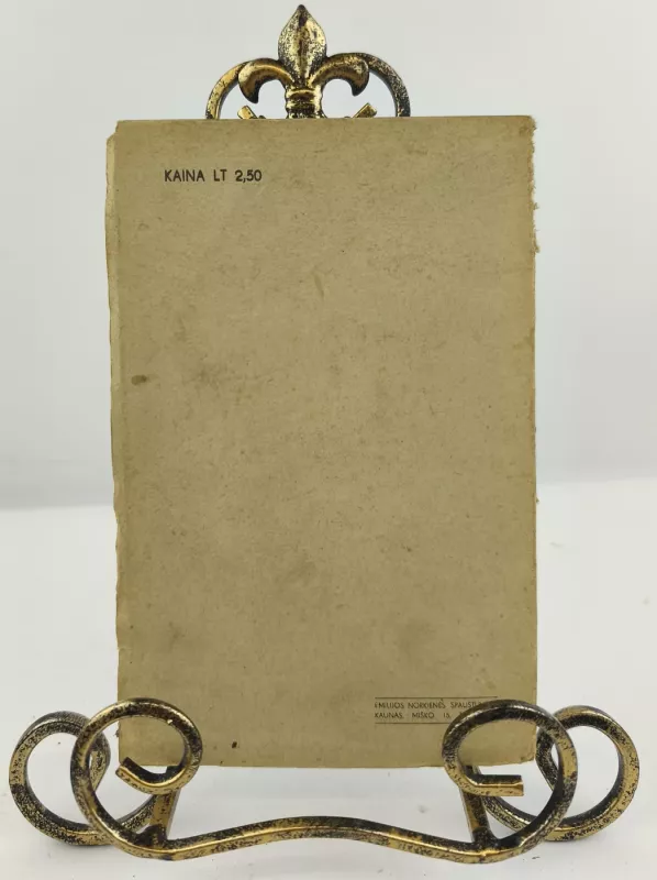 Eksperimentai 1939m. - Juozas Kruminas, Danas Pumputis, knyga 5