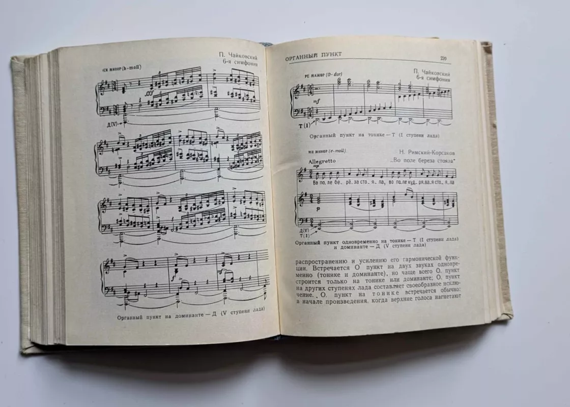 Trumpas muzikinis žodynas (rusų k.) 1964 - Dolžanskis Aleksandras Naumovičius, knyga 6