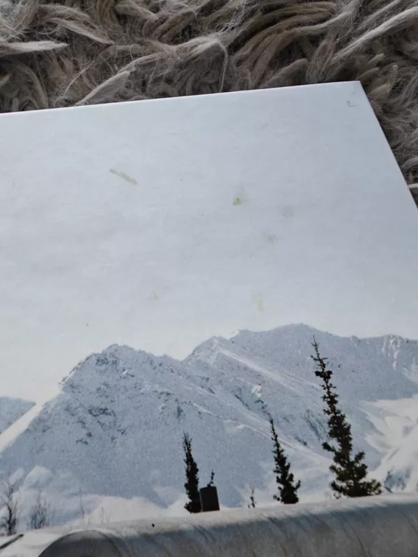 Į laukinį pasaulį - Jon Krakauer, knyga 3