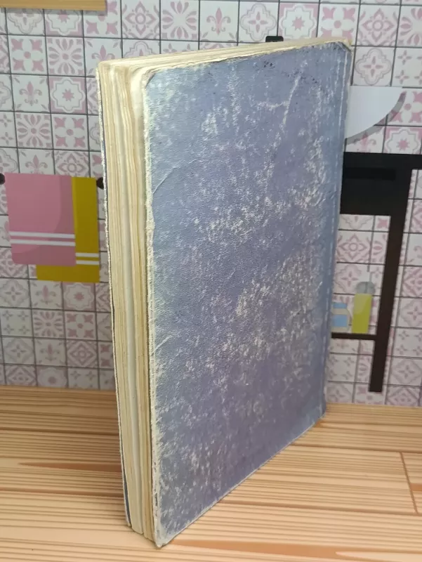 Ugnies lašai - Janina Degutytė, knyga 4