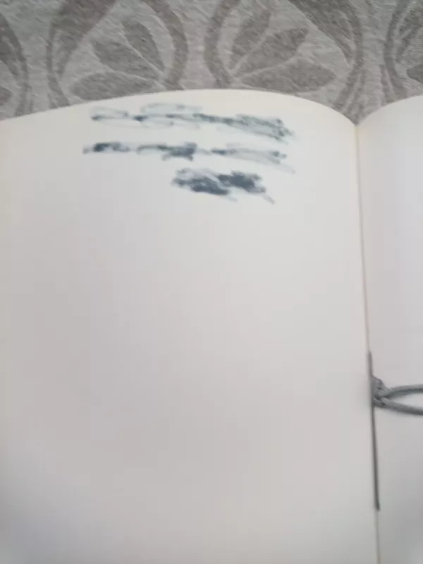 Baltijos šalių istorija - Z. Kiaupa, ir kiti , knyga 4